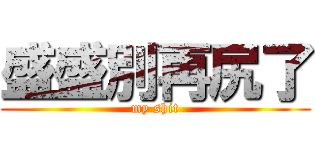 盛盛別再尻了 (my shit)