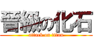 晉級の化石 (attack on titan)