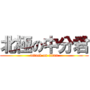 北極の中分君 (attack on titan)