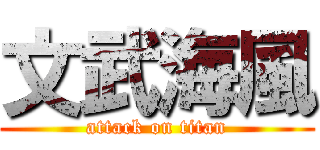 文武海風 (attack on titan)
