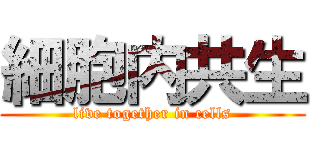 細胞内共生 (live together in cells)