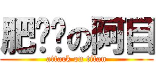 肥嘟嘟の阿目 (attack on titan)