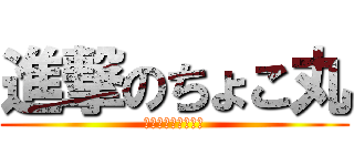 進撃のちょこ丸 (チョコ丸権三郎宗盛)