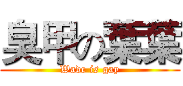 臭甲の葉葉 (Wade is gay)