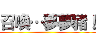 召喚…夢夢豬！ ()