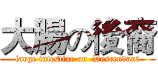 大腸の後裔 (large intestine on  Descendant)