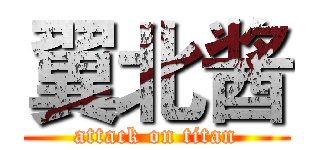 翼北酱 (attack on titan)