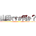 山田ですが何か？ ()