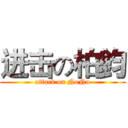 进击の柏鈞 (attack on NoNo)