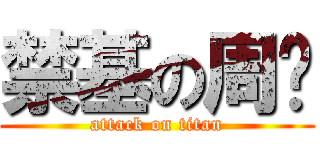 禁基の周实 (attack on titan)