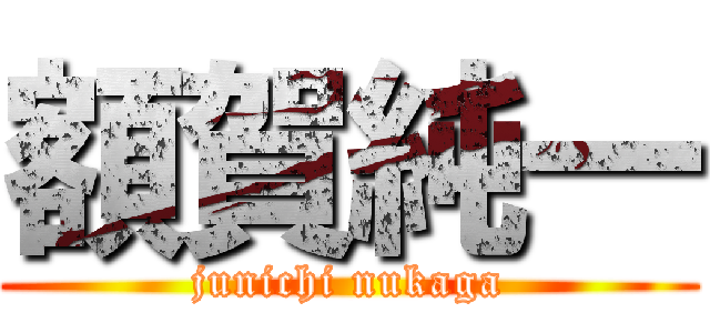 額賀純一 (junichi nukaga)