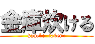 金庫炊ける (kaneko  takeru)