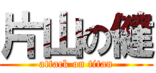 片山の健 (attack on titan)