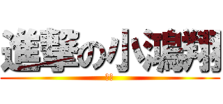 進撃の小鴻翔 (大便)