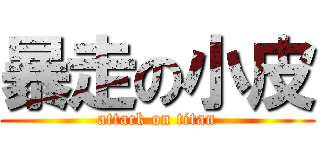 暴走の小皮 (attack on titan)