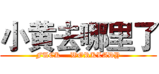 小黄去哪里了 (FUCK    WORKLADY)
