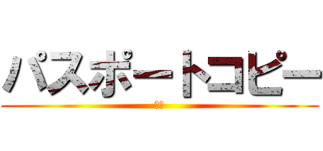 パスポートコピー (提出)