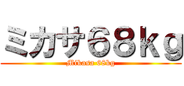 ミカサ６８ｋｇ (Mikasa 68kg)