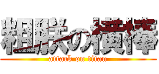 粗朕の横棒 (attack on titan)