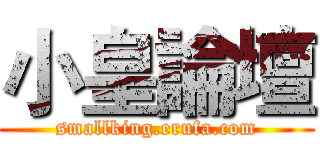 小皇論壇 (smallking.erufa.com)