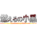 燃えるの小黑 (The burning black)