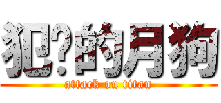 犯贱的月狗 (attack on titan)