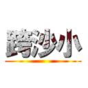 跨沙小 ()