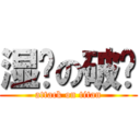 湿爸の破晓 (attack on titan)