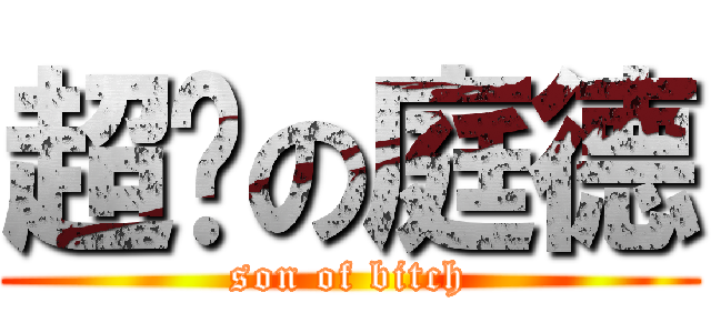超婊の庭德 (son of bitch)