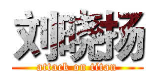 刘晓扬 (attack on titan)