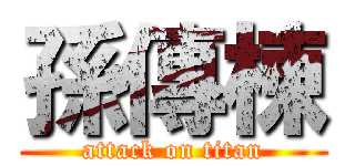 孫傳棟 (attack on titan)