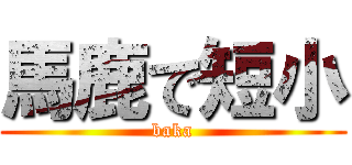 馬鹿で短小 (baka)