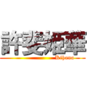 許斐姫華 (                       Kihana)