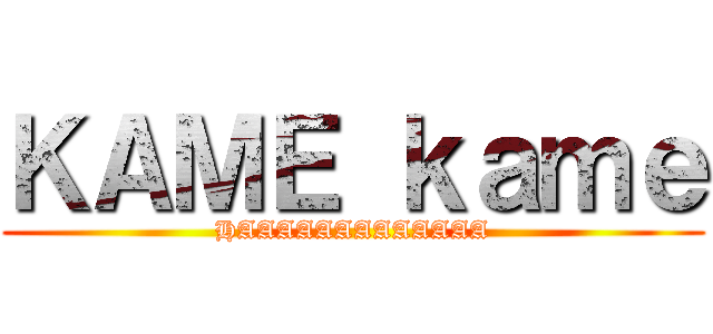 ＫＡＭＥ ｋａｍｅ (HAAAAAAAAAAAAA)