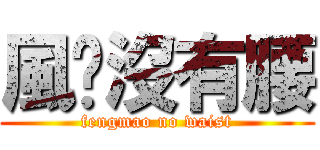 風貓沒有腰 (fengmao no waist)