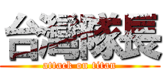 台灣隊長 (attack on titan)