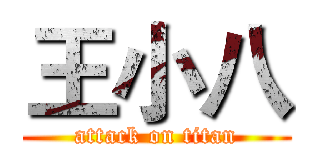 王小八 (attack on titan)