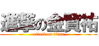 進撃の金賢祐 (attack on titan)