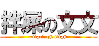 拌屎の文文 (attack on titan)
