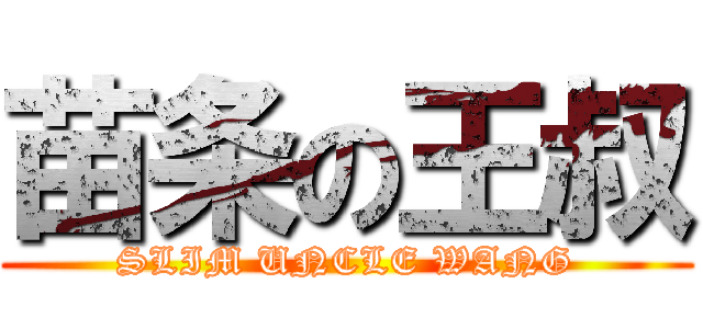 苗条の王叔 (SLIM UNCLE WANG)