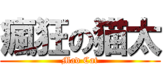 瘋狂の猫太 (Mad Cat)