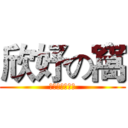 欣妤の窩 (歡迎來到我的窩)