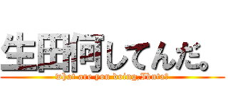 生田何してんだ。 (what are you doing,Ikuta?)