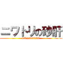 ニワトリの砂肝 (SUNAGIMO)