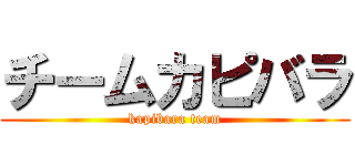 チームカピバラ (kapibara team)