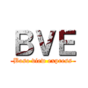 ＢＶＥ (Boso view express)
