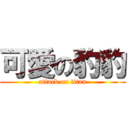 可愛の豹豹 (attack on titan)