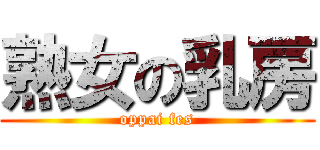 熟女の乳房 (oppai fes)