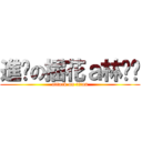 進擊の插花ａ林璇璇 (attack on titan)