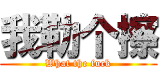 我勒个擦 (What the fuck)